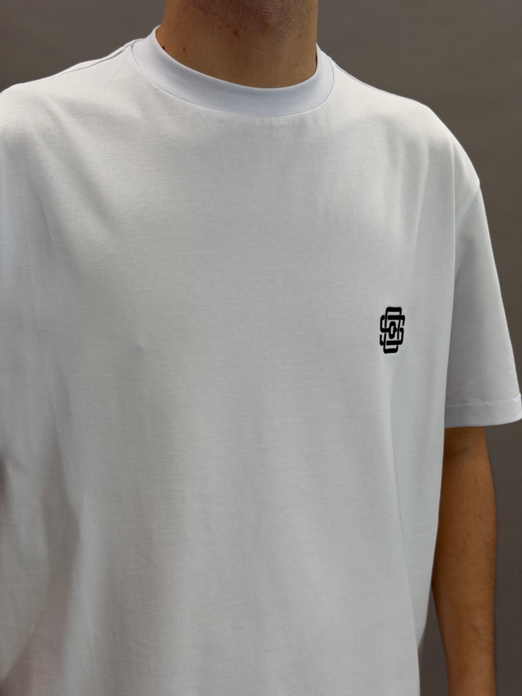 State Logo White