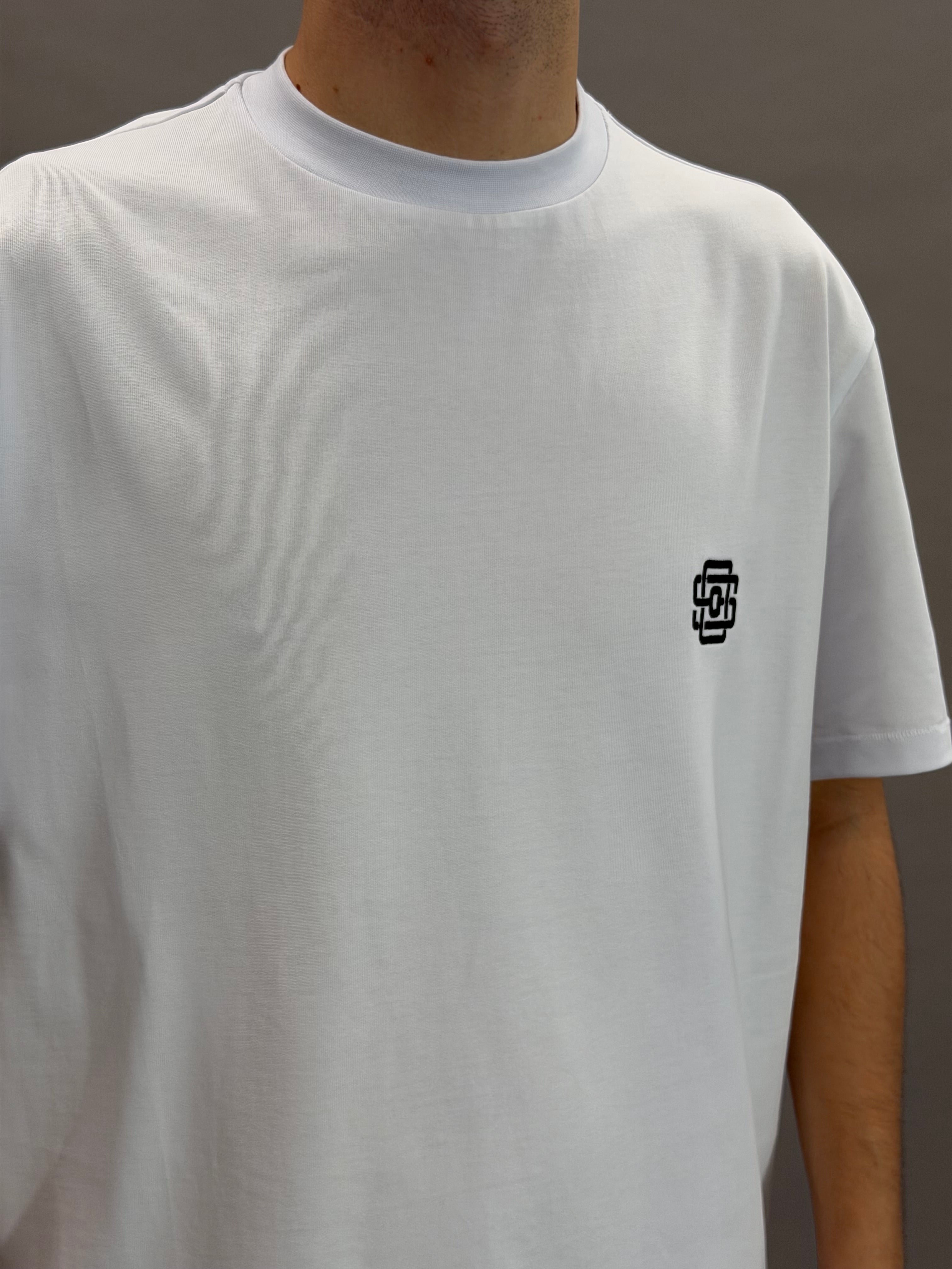 State Logo White