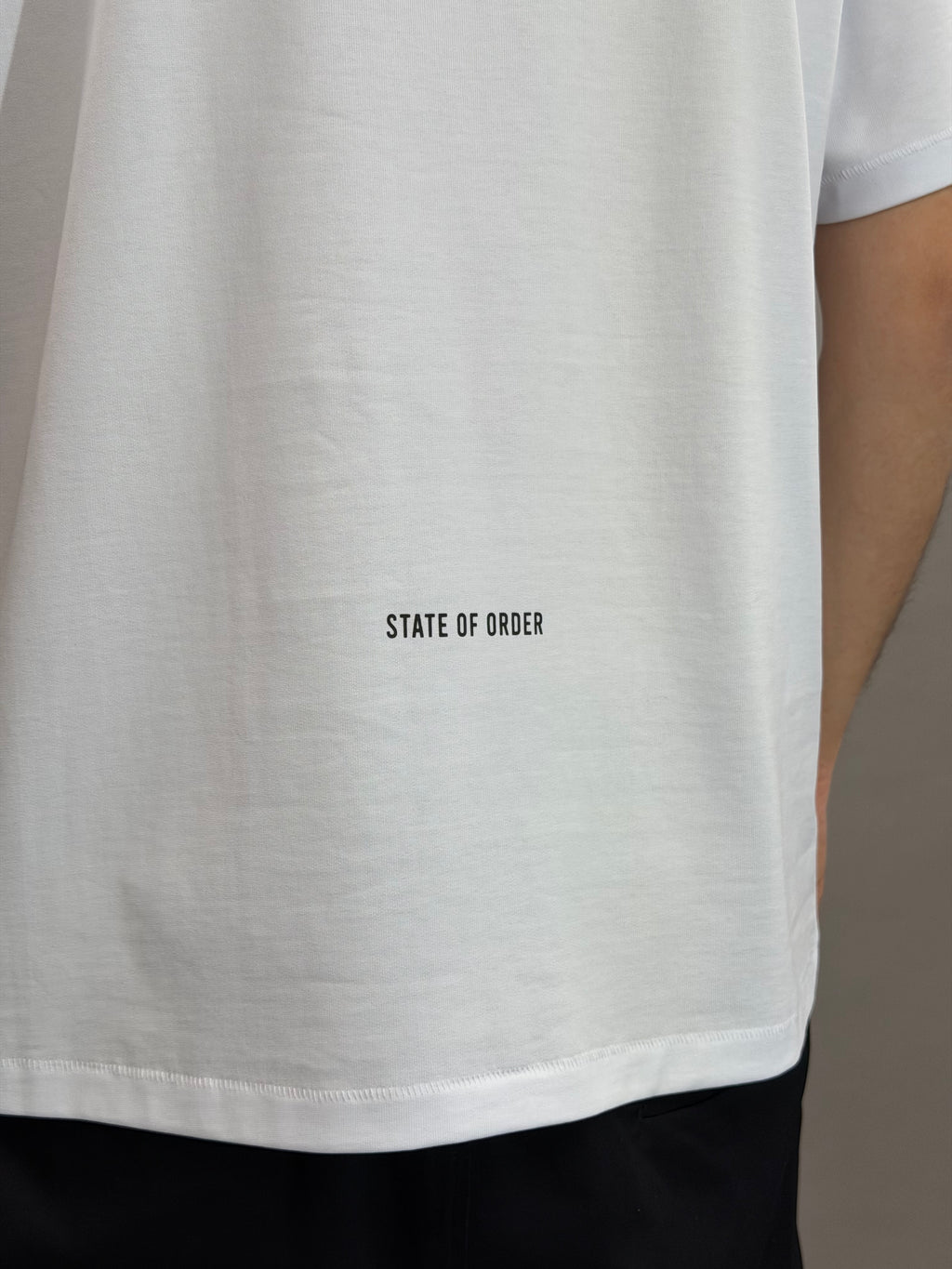 State Logo White