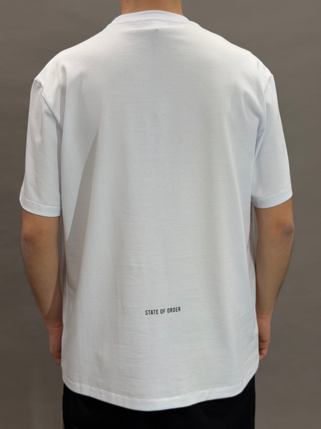 State Logo White