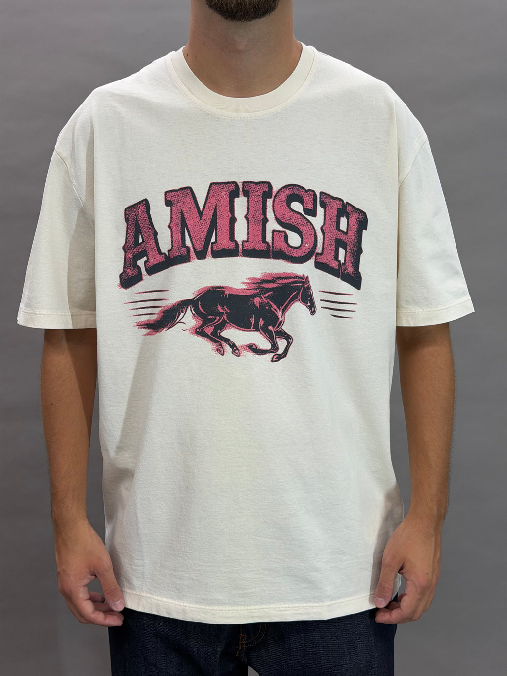 Wild horse Amish