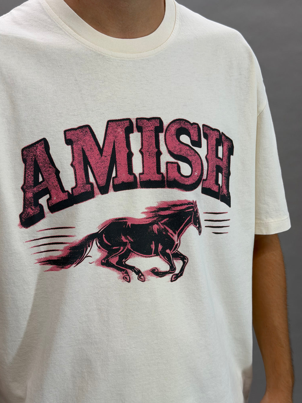 Wild horse Amish