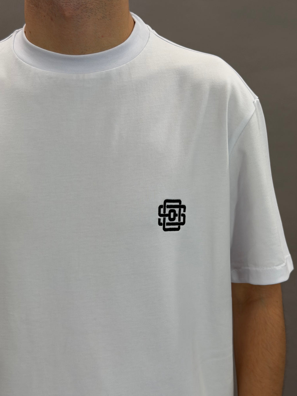 State Logo White