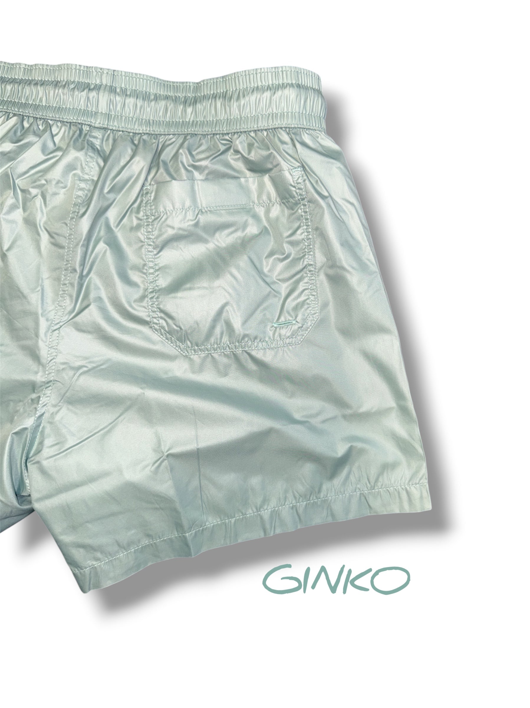 Ginko IC